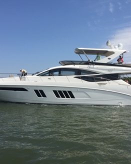 IMG_0075 65 fly side shot